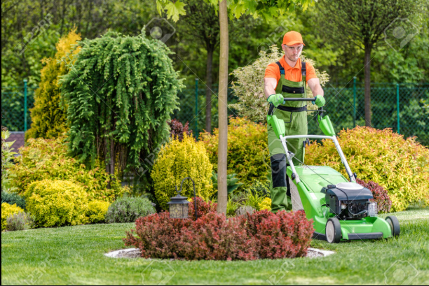 Seasonal Emirates Hills Garden Maintenance Checklist for Dubai Villas