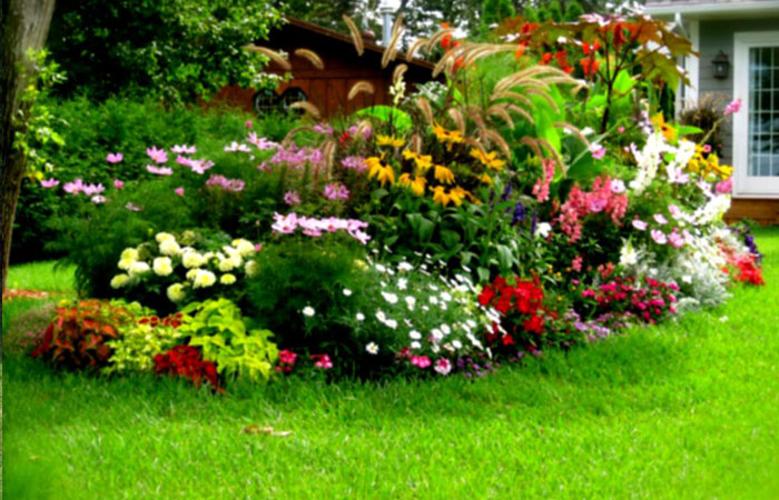 7 Reasons Why We're the Best Landscape Company in Dubai