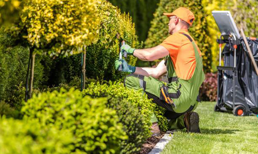 best landscape company dubai