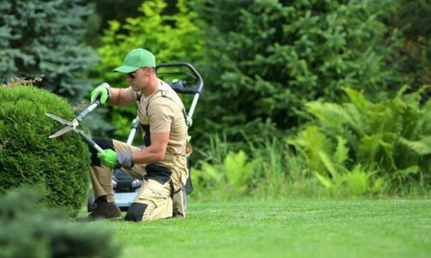 best landscape company dubai