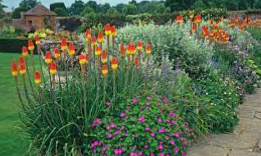 best landscape company dubai