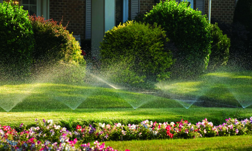 Irrigation System Work