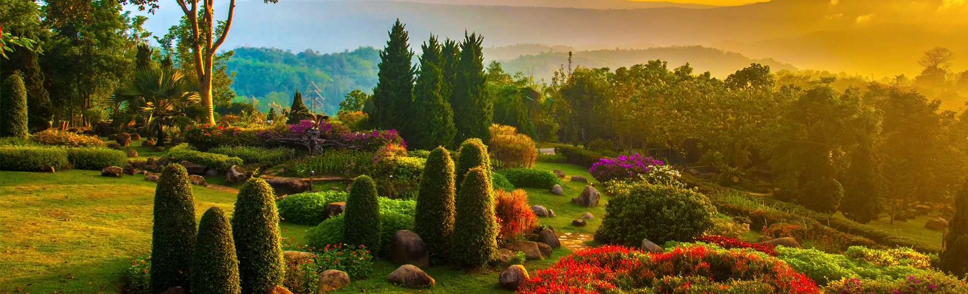 Illuminate your landscape with elegance